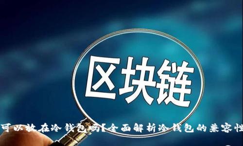 任何币都可以放在冷钱包吗?全面解析冷钱包的兼容性与安全性