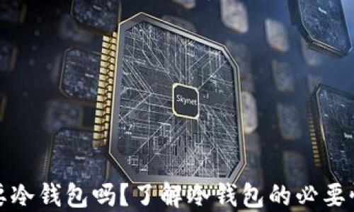 
比特币需要冷钱包吗？了解冷钱包的必要性与安全性