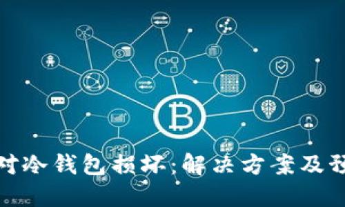 如何应对冷钱包损坏:解决方案及预防策略
