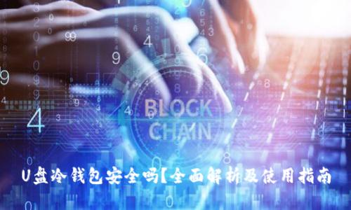 U盘冷钱包安全吗？全面解析及使用指南