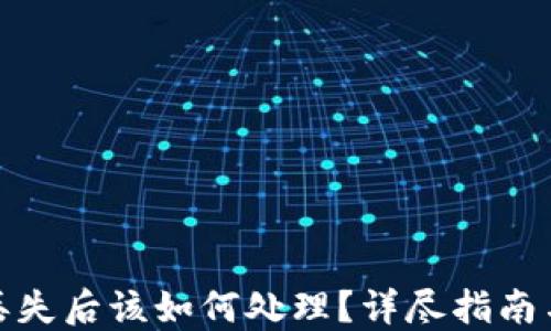 硬件钱包丢失后该如何处理?详尽指南与解决方案