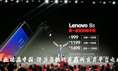 以太坊在中国：潜力与挑战并存的交易