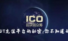 揭开USDT充值平台的秘密：你不知道的
