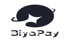 虚拟币RNA：它将如何改变未来金融的游