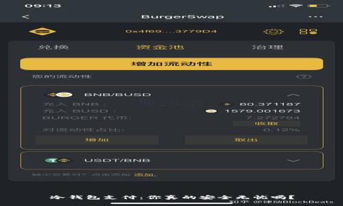 冷钱包支付：你真的安全无忧吗？