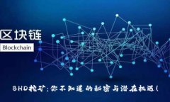 BHD挖矿：你不知道的秘密与潜在机遇！