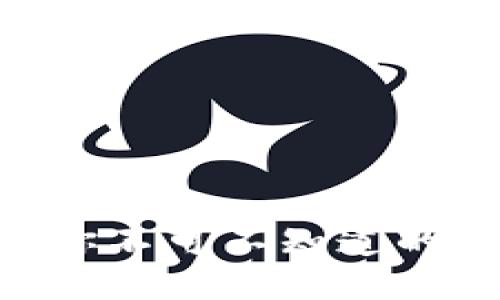 揭秘TOPAY钱包APP：你不可不知道的使用技巧与潜在风险