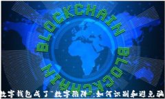 当数字钱包成了“数字陷阱”：如何识