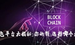 数字钱包平台大揭秘：你的钱，选择哪
