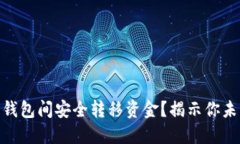 : 如何在冷钱包与热钱包间安全转移资