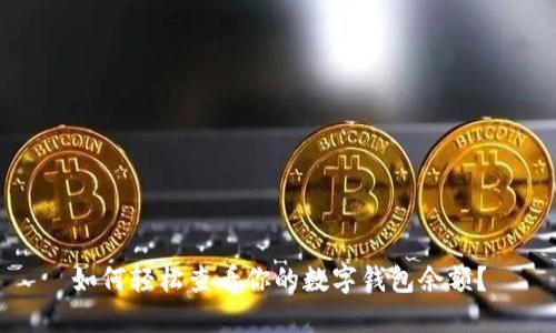 如何轻松查看你的数字钱包余额？