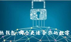 冷钱包与热钱包：哪个更适合你的数字