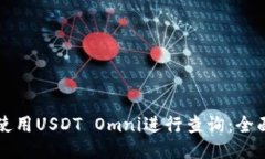 如何使用USDT Omni进行查询：全面指南