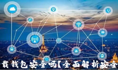 
虚拟币下载钱包安全吗？全面解析安全性与风险