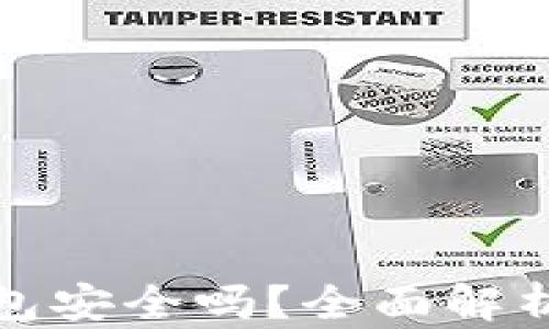 
虚拟币下载钱包安全吗？全面解析安全性与风险