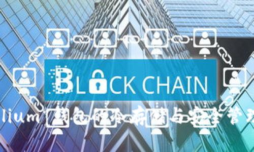 Mycelium 钱包的冷存储与安全管理指南