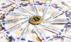 苹果手机上虚拟币的使用指南：新手必