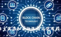 非主流虚拟币的选择与使用指南